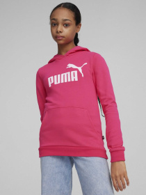 Худі PUMA ESSENTIALS LOGO модель 58703048 Фото