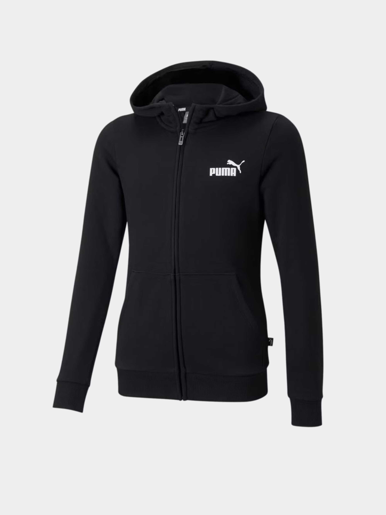Кофта спортивна PUMA Essentials Small Logo Модель 58703301 Фото