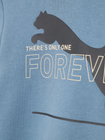 Худи PUMA Essentials Better Adolescent модель 67365917 Фото