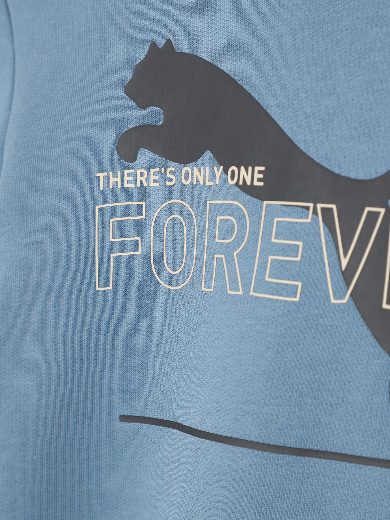 Худі PUMA ESSENTIALS BETTER ADOLESCENT модель 67365917 Фото