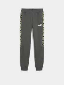 Штаны спортивные PUMA Essentials Tape модель 67922180 Фото