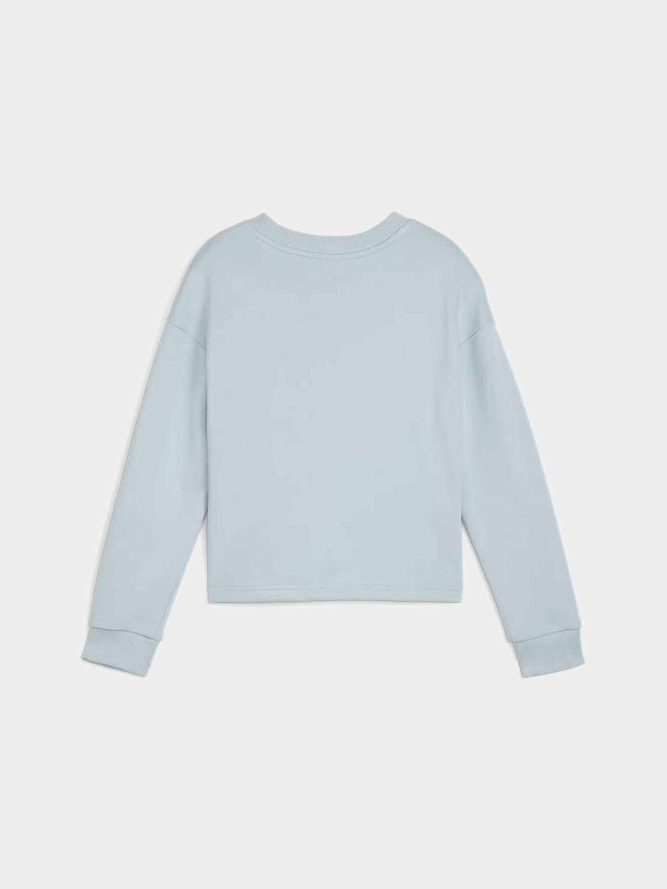 Світшот PUMA POWER CREW модель 67936122 Фото