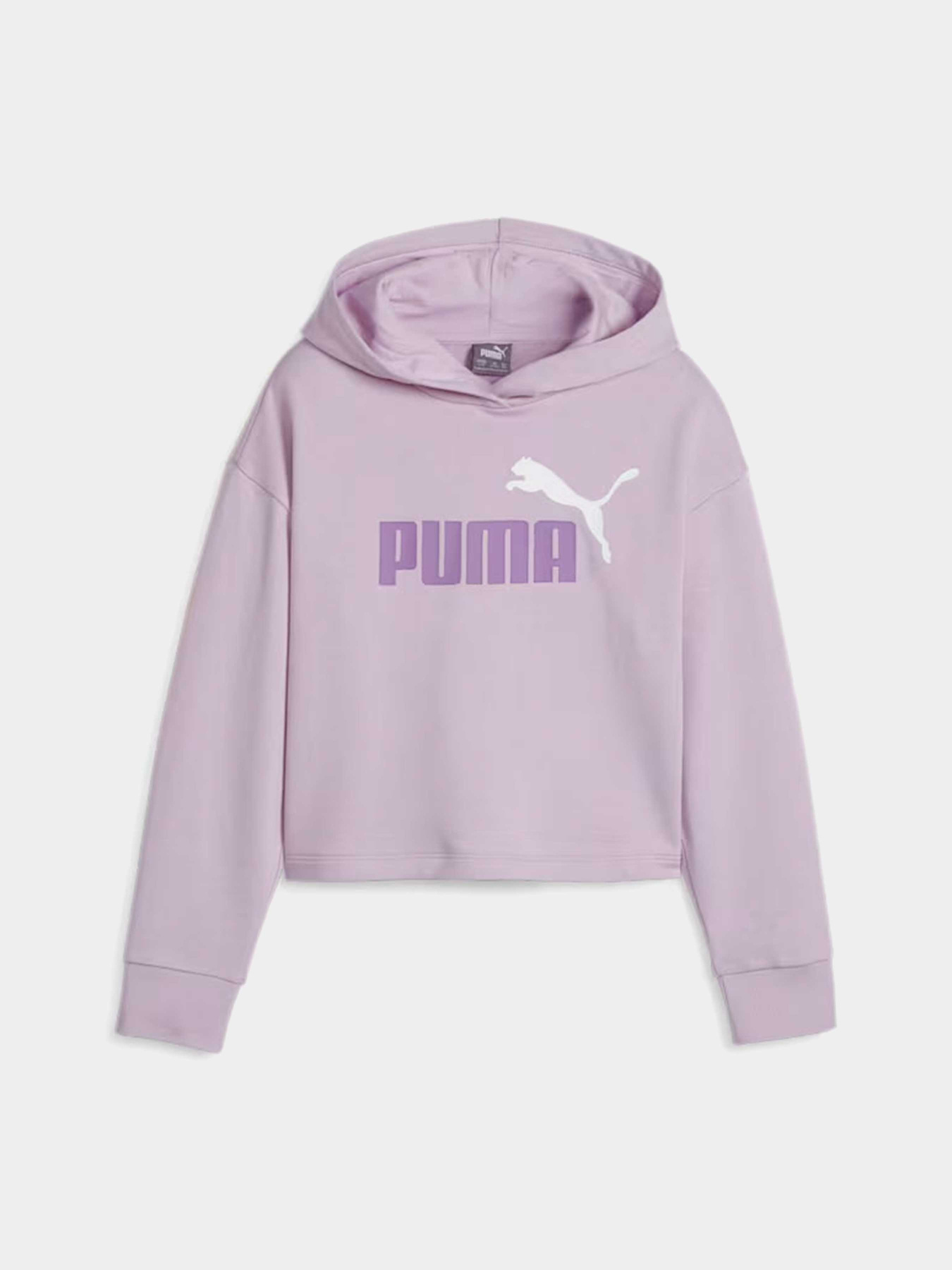 Худі PUMA ESS+ 2COL модель 68099360 Худі PUMA ESS+ 2COL модель 68099360 Фото