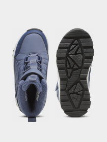 Ботинки PUMA Evolve AC+ PS модель 39264502 Фото