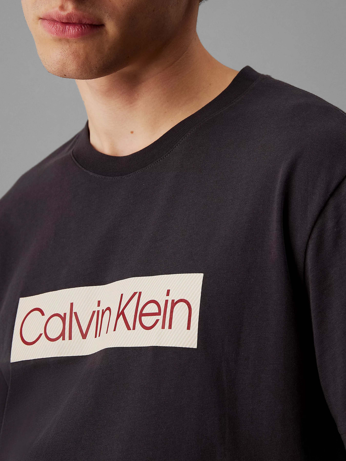 Футболка Calvin Klein Jeans модель J30J327472-BA1 Фото