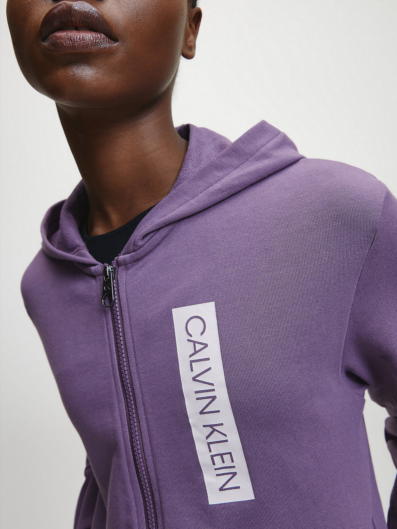 Спортивная кофта Calvin Klein модель 00GWT0J460-510 Фото