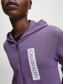 Спортивная кофта Calvin Klein модель 00GWT0J460-510 Фото