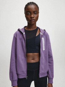 Спортивная кофта Calvin Klein модель 00GWT0J460-510 Фото