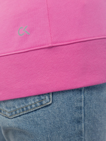 Худи Calvin Klein модель 00GWF0W334-608 Фото