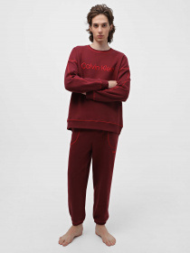 Свитшот Calvin Klein Underwear Ls Sweatshirt модель 000NM2458E-GEX Фото