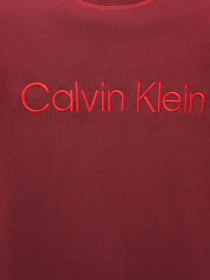 Свитшот Calvin Klein Underwear Ls Sweatshirt модель 000NM2458E-GEX Фото