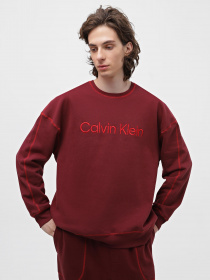 Свитшот Calvin Klein Underwear Ls Sweatshirt модель 000NM2458E-GEX Фото