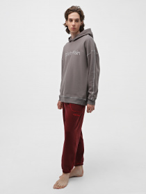 Худи Calvin Klein Underwear L S Hoodie модель 000NM2484E-PA7 Фото