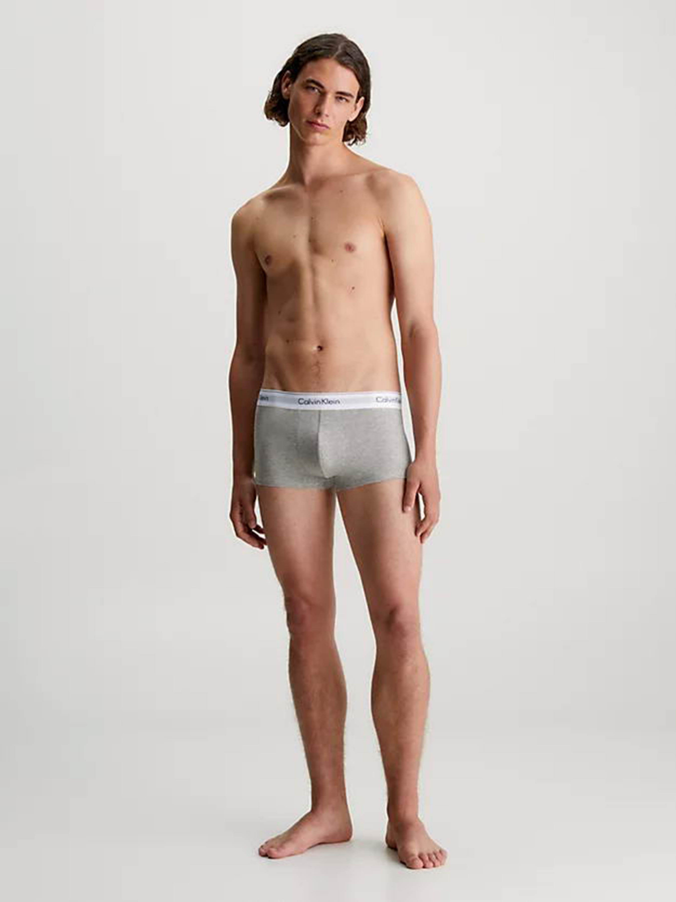 Набір трусів Calvin Klein Underwear Low Rise Trunk 3pk модель 000NB1085A-MP1 Фото