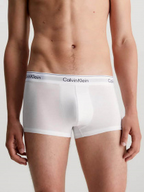 Набір трусів Calvin Klein Underwear Low Rise Trunk 3pk модель 000NB1085A-MP1 Фото