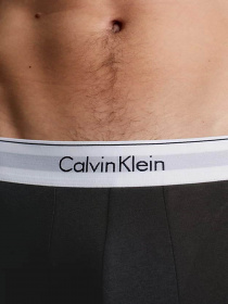 Набір трусів Calvin Klein Underwear Low Rise Trunk 3pk модель 000NB1085A-MP1 Фото