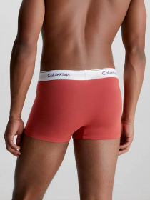 Набор трусов Calvin Klein Underwear Trunk 3Pk модель 000NB2380A-GWF Фото