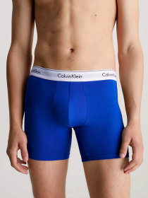 Набор трусов Calvin Klein Underwear 3 Pack Boxer Briefs - Modern Cotton модель 000NB2381A-GW4 Фото