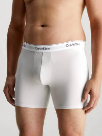 Набор трусов Calvin Klein Underwear 3 Pack Boxer Briefs - Modern Cotton модель 000NB2381A-GW4 Фото