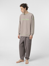 Джогери Calvin Klein Underwear Jogger модель 000NM2477E-PA7 Фото