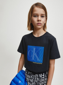 Футболки и поло Calvin Klein модель IB0IB00523-PZ2 Фото