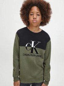 Свитшот Calvin Klein модель IB0IB00566-LFH Фото