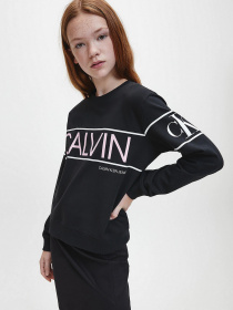 Світшот Calvin Klein Logo модель IG0IG00582-BEH Світшот Calvin Klein Logo модель IG0IG00582-BEH Фото