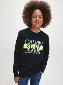 Світшот Calvin Klein модель IB0IB00540-BEH Фото