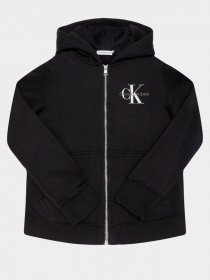 Худи Calvin Klein модель IG0IG00583-BEH Фото