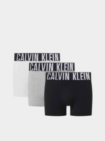 Набор трусов Calvin Klein Underwear Intense Power Ctn 3P модель 000NB3608A-MPI Фото