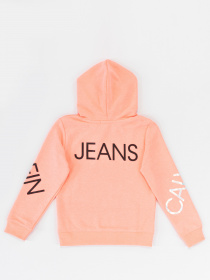 Худи Calvin Klein модель IG0IG00578-TAB Фото