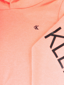 Худі Calvin Klein модель IG0IG00578-TAB Фото