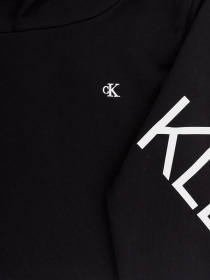 Худи Calvin Klein Hero Logo модель IG0IG00578-BEH Фото