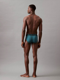 Набір трусів Calvin Klein Underwear Intense Power Hip Brief модель 000NB3610A-Q1J Фото