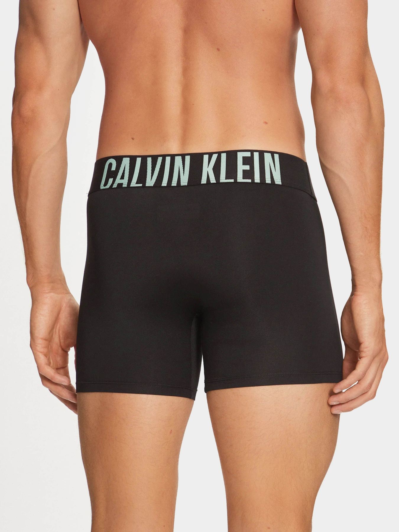 Набор трусов Calvin Klein Underwear Intense Power модель 000NB3612A-Q1L Фото