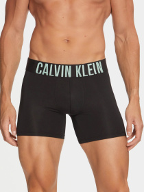 Набор трусов Calvin Klein Underwear Intense Power модель 000NB3612A-Q1L Фото