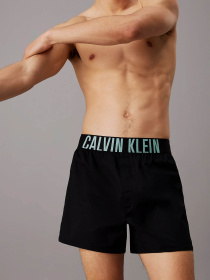 Набір трусів Calvin Klein Underwear Intense Power Модель 000NB3833A-QTL Фото