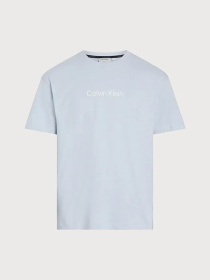 Футболка Calvin Klein модель K10K111346-CGK Фото