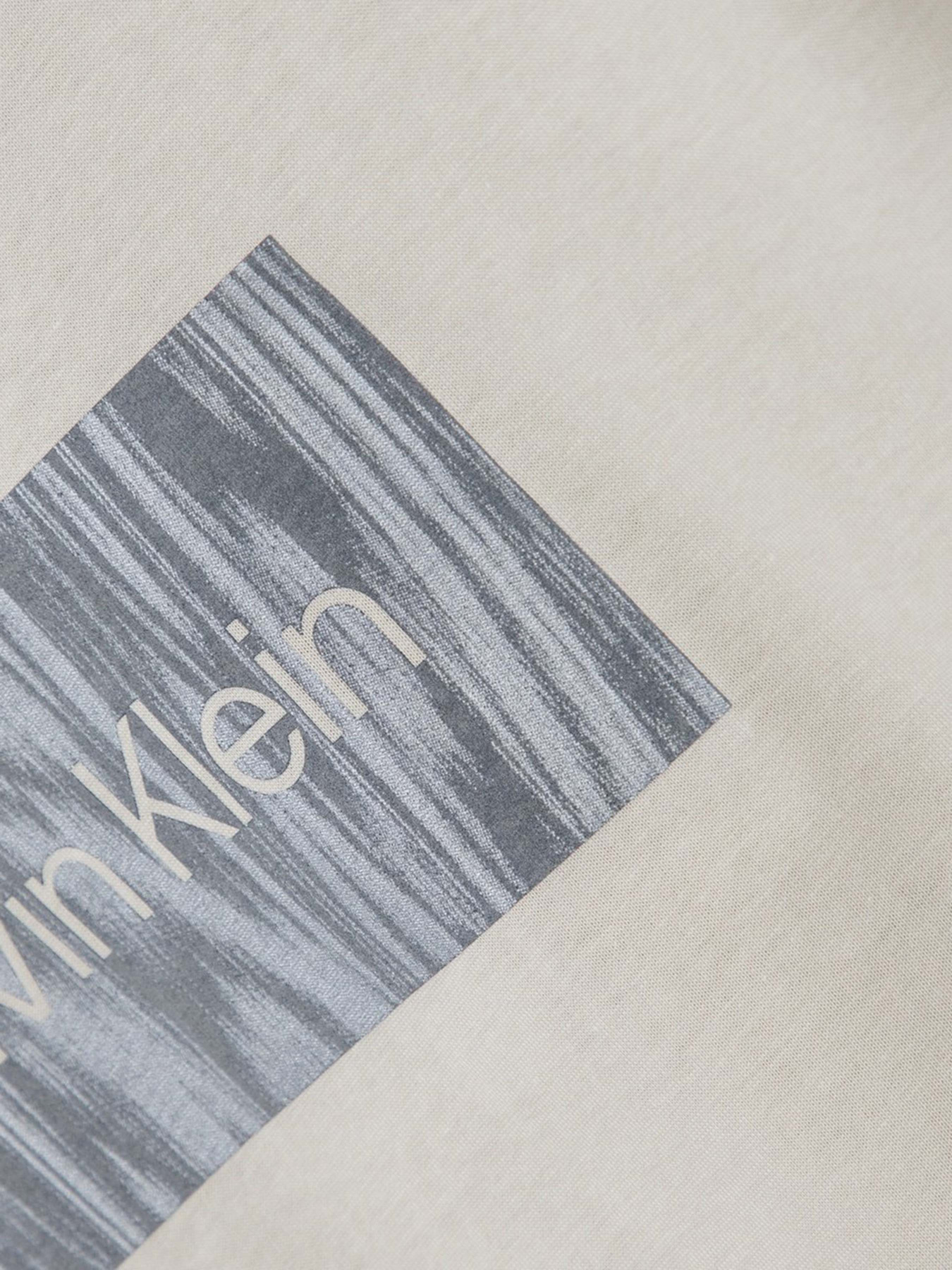 Футболка Calvin Klein модель K20K206943-PEA Фото