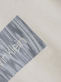 Футболка Calvin Klein модель K20K206943-PEA Фото