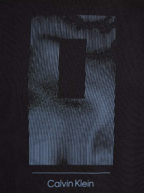 Футболка Calvin Klein Vertical Lines Graphic модель K10K113588-BEH Фото