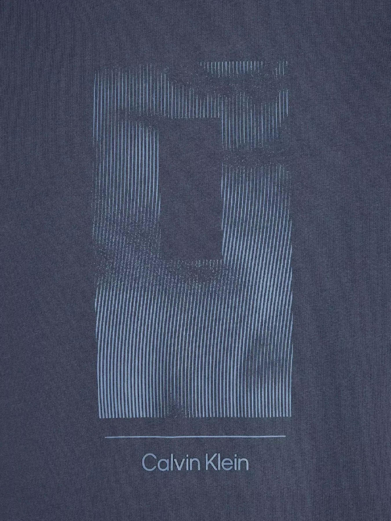 Футболка Calvin Klein Vertical Lines Graphic модель K10K113588-PPK Фото