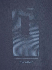 Футболка Calvin Klein Vertical Lines Graphic модель K10K113588-PPK Фото