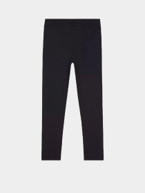 Штаны спортивные Calvin Klein Nano Logo модель K10K113654-BEH Фото