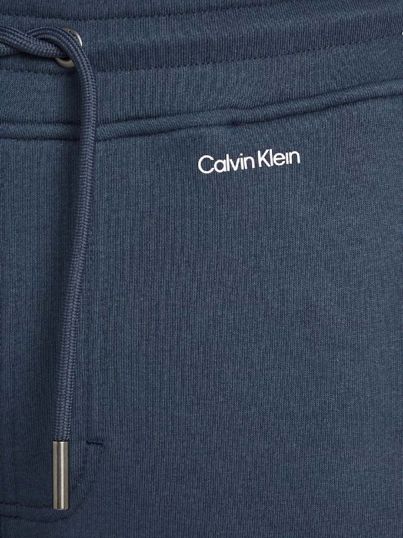 Штаны спортивные Calvin Klein Nano Logo модель K10K113654-PPK Фото