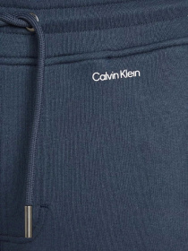 Спортивні штани Calvin Klein Nano Logo модель K10K113654-PPK Фото