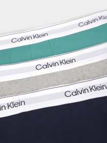 Набір трусів Calvin Klein Underwear модель LV00NB4392-VR1 Фото