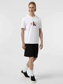 Повсякденні шорти Calvin Klein модель K10K114121-BEH Фото