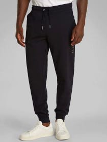Джоггеры Calvin Klein модель K10K114254-BEH Фото