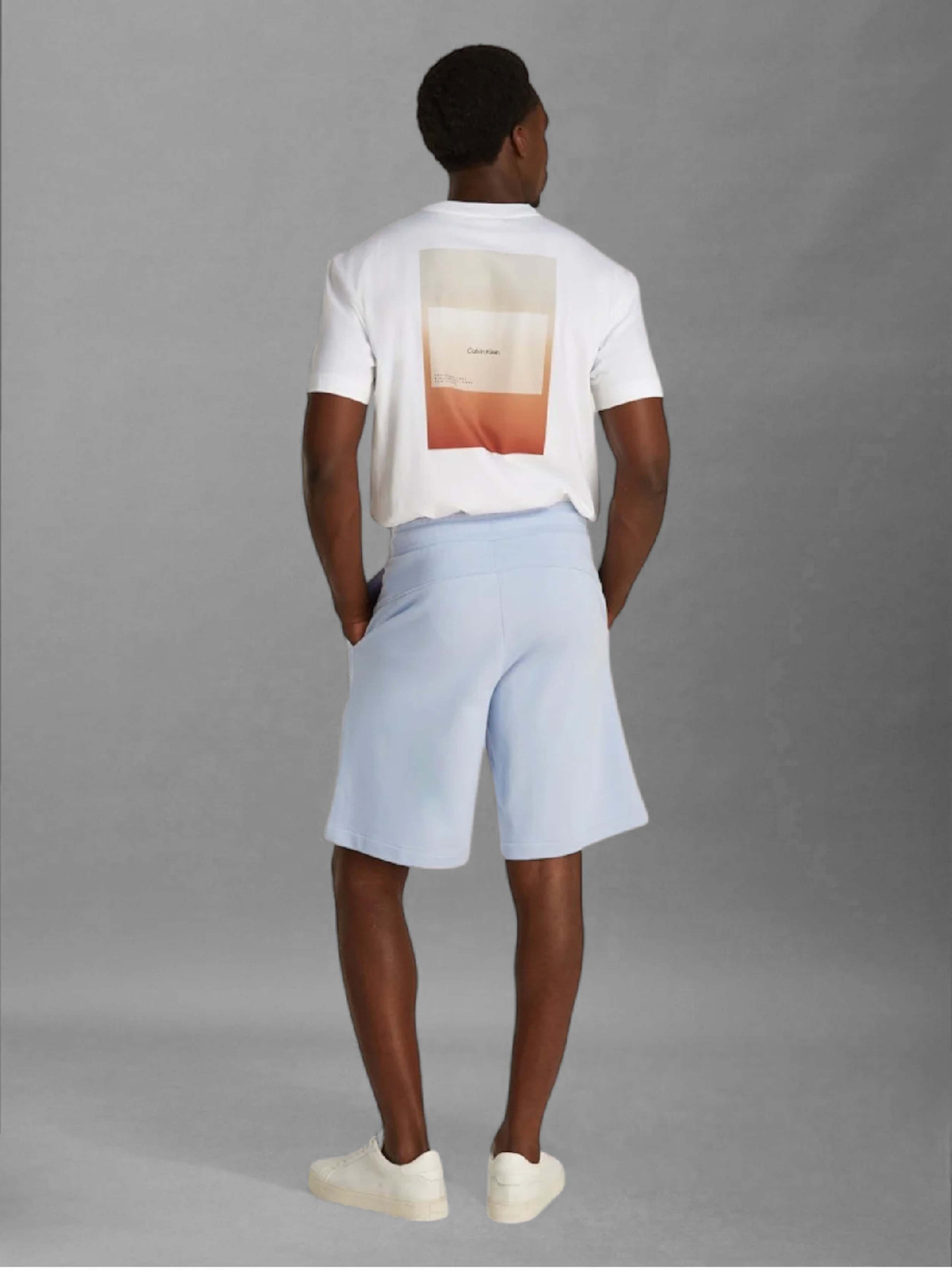 Повсякденні шорти Calvin Klein модель K10K114121-DWE Фото